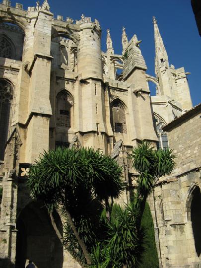 06 - Narbone 002.JPG